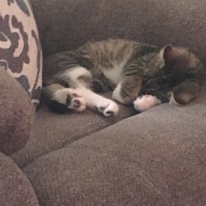 Meet your Posher, Suzanne